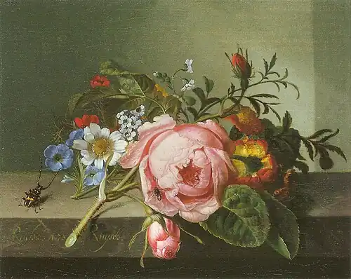 Gałązka róży z chrząszczem i pszczołą, 1741