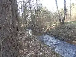 Bernatka w okolicy zalewu