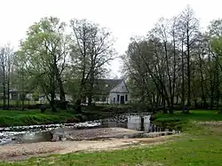 Rzeka Narewka w Narewce