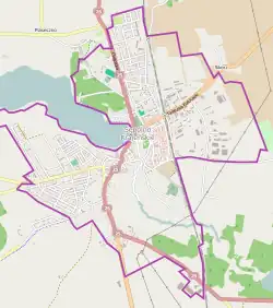 Mapa konturowa Sępólna Krajeńskiego, blisko centrum u góry znajduje się punkt z opisem „Zbiorowa mogiła w Sępólnie Krajeńskim”