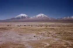 Park Narodowy Sajama
