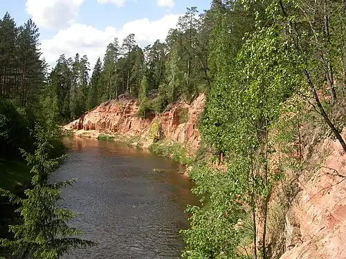 Klify wzdłuż rzeki Salacy (2006)