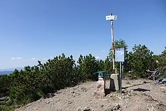 Na szczycie Salatína