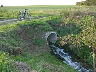 Rzeka na północ od Bytkowa