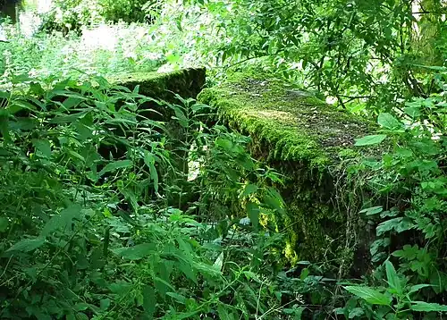 Ruiny mostu pod Niemieczkowem