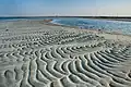 Ripplemarki na plaży w Abu Samrze (Katar)