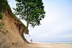 Wybrzeże w okolicach Sarbinowa