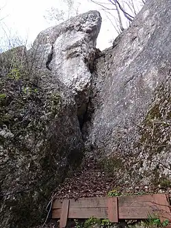 Ubezpieczone podejście do schroniska