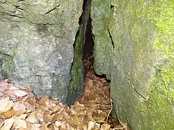 Wejście do schroniska