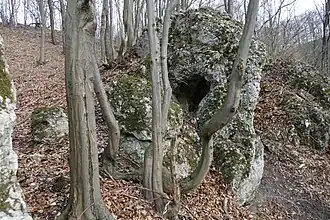 Otwór północno-zachodni