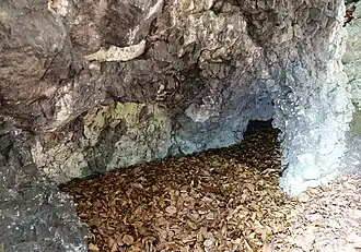 Skała ze schroniskiem