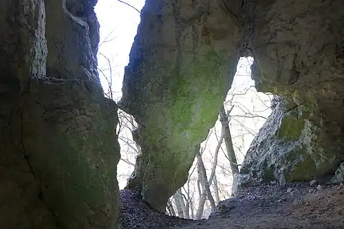 Widok z dolnej salki