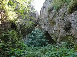 Wejście do schroniska