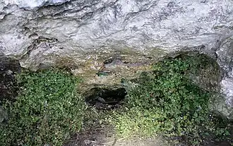 Korytarzyk u podstawy okapu