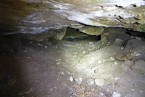 Tylna część przedniej nyży