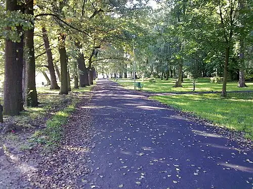 ścieżka nad jez. Trzesiecko