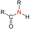 Grupa amidowa, w której atom azotu podstawiony jest jedną grupą funkcyjną (R) i połączony z jednym atomem wodoru, a druga grupa funkcyjna przyłączona jest do atomu węgla grupy karbonylowej