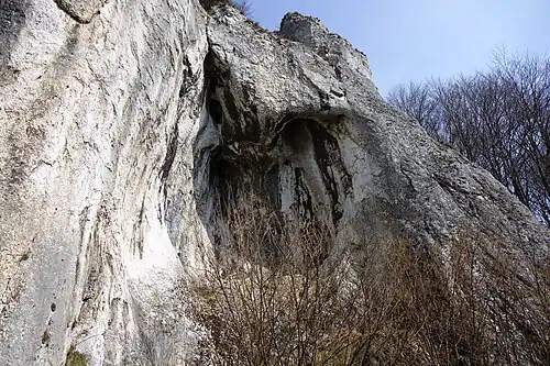 Serce z dolnym wylotem komina