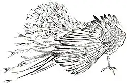 Autolitografia Kazimierza Sichulskiego (1925)