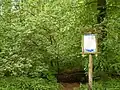 Sieć szlaków PTTK w Puszczy Wkrzańskiej, tablica informacyjna obok dębów Bogusława