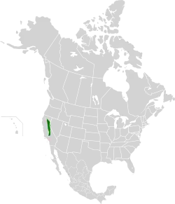 Mapa pasma górskiego