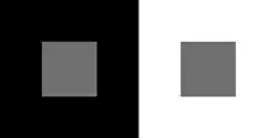 Szare kwadraty mają taką samą jasność, ale kwadrat otoczony czernią wydaje się jaśniejszy od tego, który otoczony jest bielą.