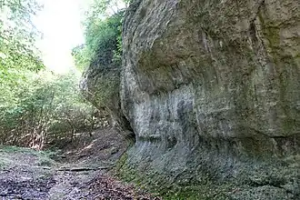 Dolina za Żbikiem i Skałka w Żbiku