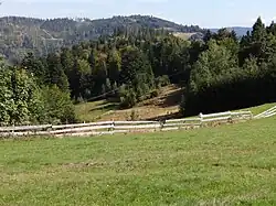 Widok z polany na Skałę