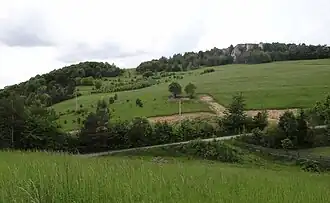 Bukowa Skała i Chochołowe Skały