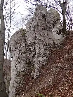 Skała powyżej ścieżki