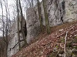 Skała powyżej ścieżki