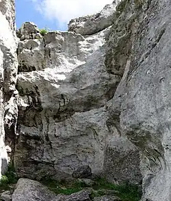 Skała z Mysim Trawersem