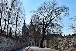 Widok w kierunku Skałki