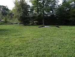 Skałki Twardowskiego