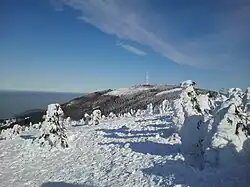 Zimowy widok na Skrzyczne ze strony Małego Skrzycznego