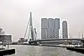 De Rotterdam na tle Erasmusbrug (2015)