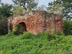 Ruiny dworu Korniakta w Sośnicy nad Sanem