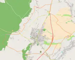Mapa konturowa Sokołowa Małopolskiego, na dole znajduje się punkt z opisem „ulica płk. Piotra Podstawskiego”