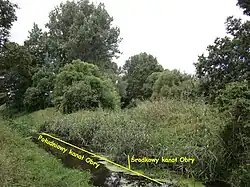 Wypływ Środkowego Kanału Obry z Południowego Kanału Obry