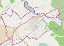 Mapa konturowa Stęszewa, blisko centrum na prawo u góry znajduje się owalna plamka nieco zaostrzona i wystająca na lewo w swoim dolnym rogu z opisem „Bochenek”