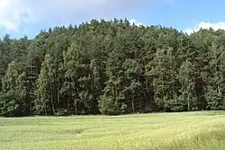 Stříbrný vrch w pobliżu góry Vlhošť