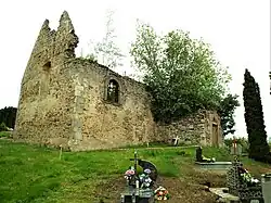 Widok od strony kruchty