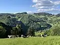 Pastwiska w górnych partiach doliny rzeki Möhlin