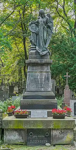 Grób Antoniego Olszewskiego przed renowacją