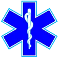 Gwiazda życia (w języku angielskim „Star of Life”)