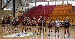 Hala podczas meczu siatkówki (2017)