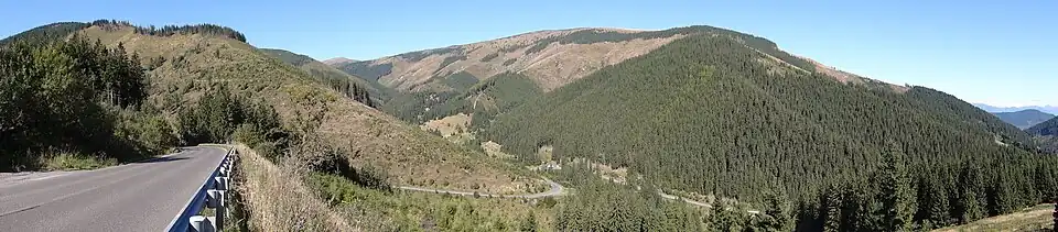 Droga w Niżnych Tatrach