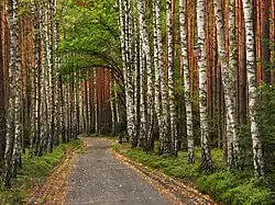 Stobrawski Park Krajobrazowy