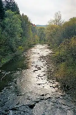 Widok z mostu tuż przed granicą polsko-ukraińską (na zachód)