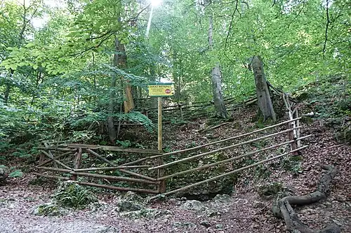 Ogrodzony otwór jaskini